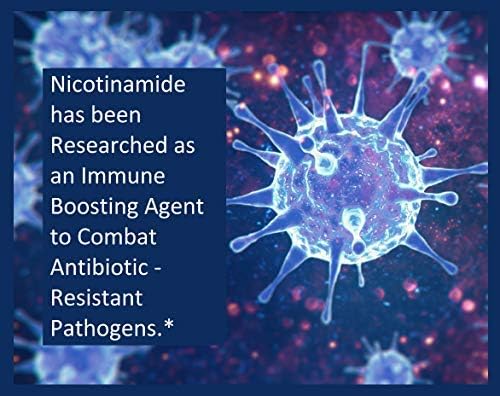 200 Count! B3 Nicotinamide 500 mg Effective Flush-Free Niacin. Energy Booster, Cell Regenerator, Supports Cognitive Decline, Anti-Aging and Helps Breaks Down Carbs & Fats (200 Ct)