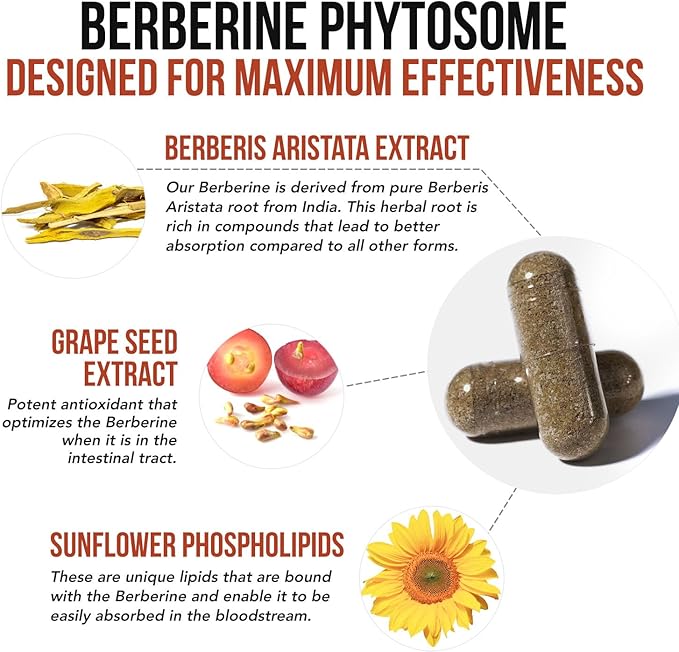 SoActive Berberine 550mg: 9.6X Higher Absorption, Clinically Studied, Optimized Phytosome | Supports Metabolism & AMPK Activation | Non-GMO, Soy-Free | Clinically Validated Dose | 60 Servings