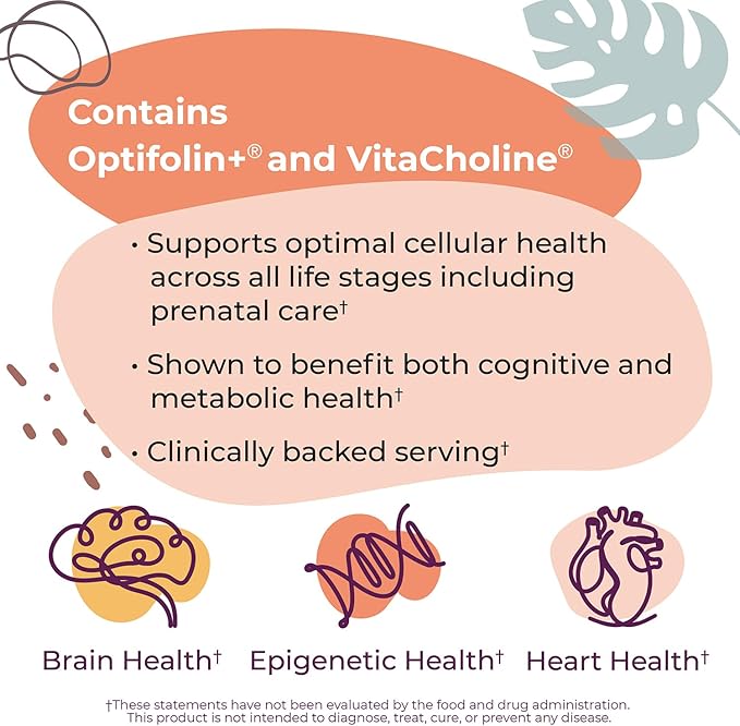 Body Kitchen Mega Folate, 1000mcg Optifolin+, 60 Vegetable Capsules, Vegan, Non-GMO, Brain and Heart Health Support