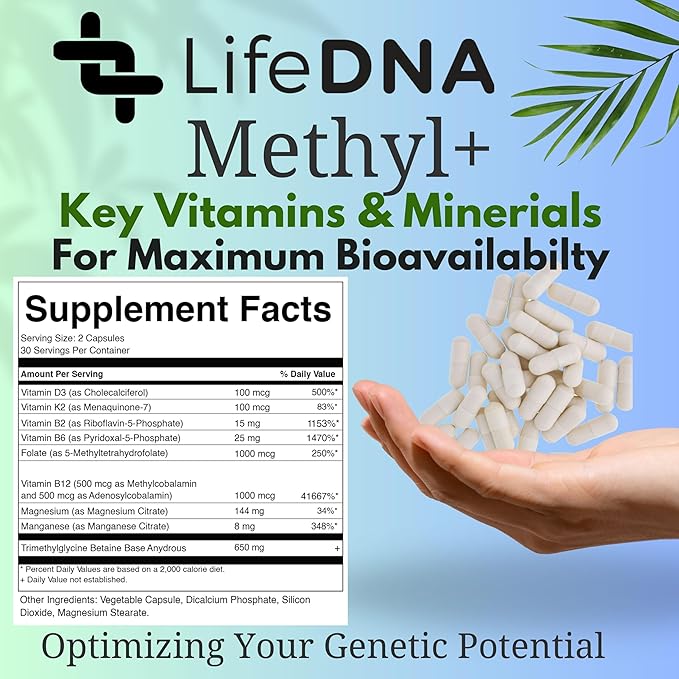 Methyl + Methylfolate - Methylated Folate Multivitamin Complex with TMG Optimized Homocysteine, Brain, Cardiovascular & Neurotransmitter Support