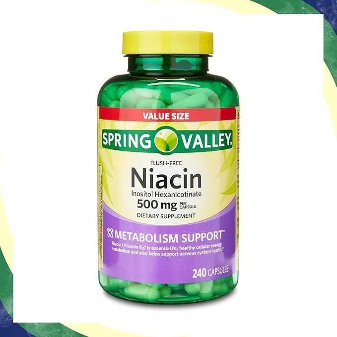 Vitamin B3 Niacin 500mg Flush Free Capsules, Dietary Supplement 240 Pills (Pack of 1)