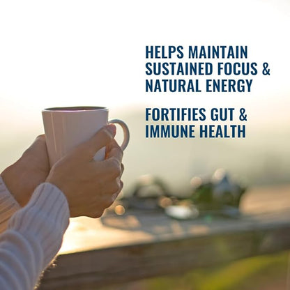 Beyond Brew Vanilla Latte Coffee Alternative - Mushroom Complex w/Lion’s Mane, Reishi, Cordyceps & Chaga for Sustained Focus, Energy & Immunity Support. Prebiotics & Probiotics Support Gut Health (Pa