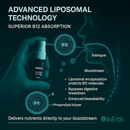 InErth Liposomal Vitamin B12 Liquid Drops - 1000 mcg Maximum Absorption Sublingual Methylcobalamin for Energy, Metabolism, Nervous System Immune Support - Vegan VIT B12 Complex Supplement 1 Fl Oz (1)