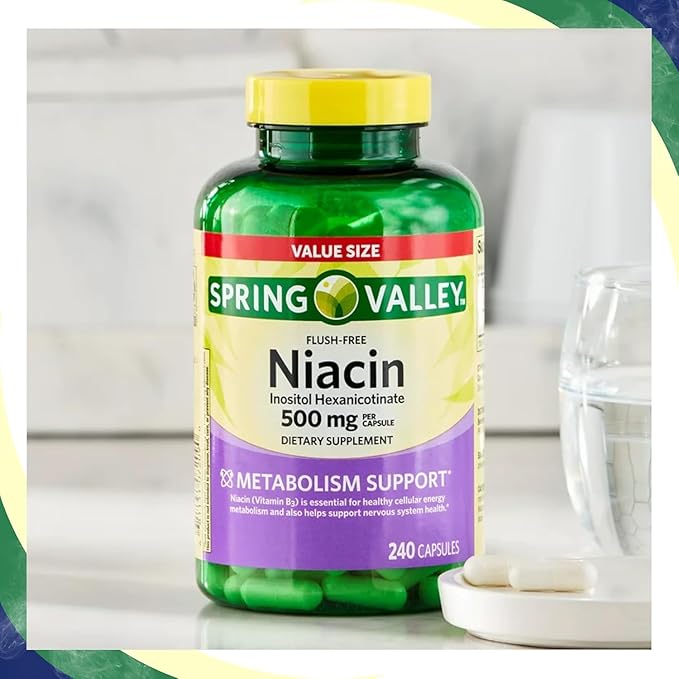 Vitamin B3 Niacin 500mg Flush Free Capsules, Dietary Supplement 240 Pills (Pack of 1)