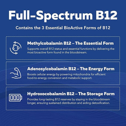 BioActive Vitamin B Complex Blood Stream Ready, Methylated B Complex Featuring Methylfolate 3 BioActive Forms of B12, BenfoPure® B1 & Pantesin® B5 12 B Vitamins in Clinical Doses(160 Servings - 3Pack)