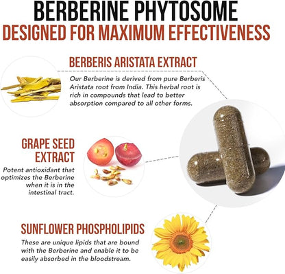 SoActive Berberine 550mg: 9.6X Higher Absorption, Clinically Studied, Optimized Phytosome | Supports Metabolism & AMPK Activation | Non-GMO, Soy-Free | Clinically Validated Dose | 60 Servings