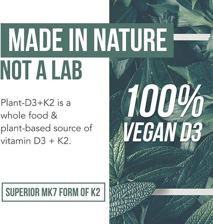 Organic Plant D3 + K2 | 10000 IU D3 + 120 mcg K2 as All-Trans MK7 from MenaQ7® - 100% Whole Food, Raw & Vegan | Enhanced Digestion with Prebiotic & Superfood Complex – D3 from Organic Algae (60 Count)