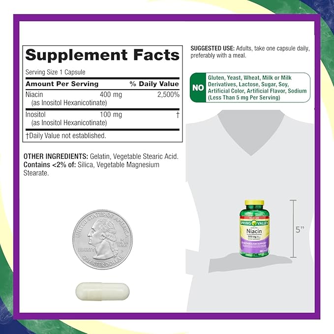 Vitamin B3 Niacin 500mg Flush Free Capsules, Dietary Supplement 240 Pills (Pack of 1)