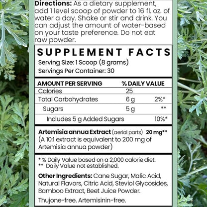 Artemisia Annua Sweet Wormwood Herbal Powder | Leaf Extract Brain Supports | Artemisinin Supplement | Sweet Wormwood Organic Extract | Non-GMO, Vegan, Gluten-Free | 30 Servings/8.5 Oz (240g)