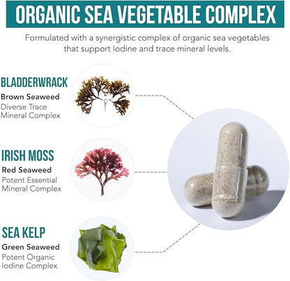 Organic Iodine Supplement – 1,500 mcg Iodine, Max Strength - from Sea Vegetable Complex, Whole Food & Raw Form – Contains Purest Icelandic Sea Kelp, Irish Moss & Bladderwrack (1500 mcg)