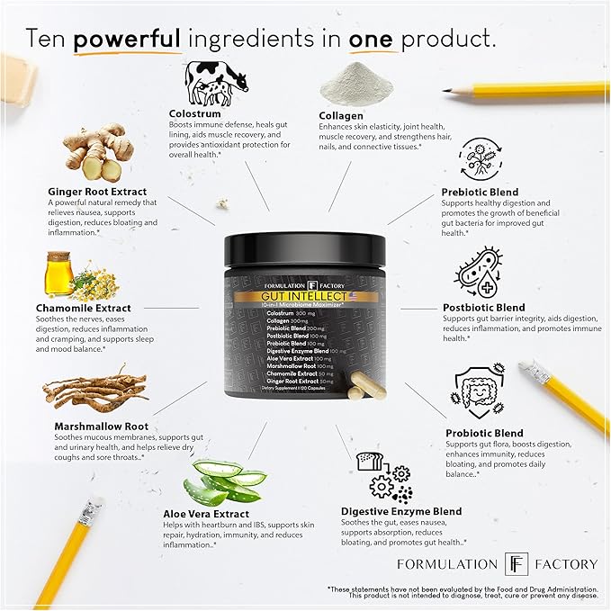 Gut Intellect 10-in-1 Microbiome Maximizer with Probiotics, Prebiotics, Enzymes, Berberine, Ginger, Mint, Supports Digestion & Brain-Gut Health (2 Month Supply, 120 Capsules)
