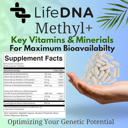 Methyl + Methylfolate - Methylated Folate Multivitamin Complex with TMG Optimized Homocysteine, Brain, Cardiovascular & Neurotransmitter Support