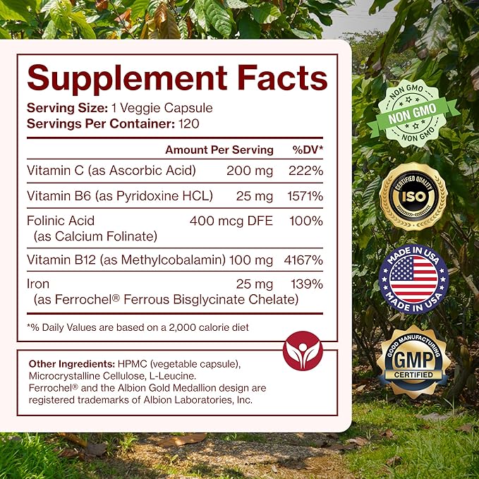 Iron Supplement for Women - Gentle Chelate Iron Bisglycinate 25mg with Vitamin C, B6, B12 Folic Acid – Supports Iron Deficiency, Menstrual Health & Energy - 120 Count
